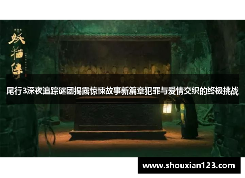 尾行3深夜追踪谜团揭露惊悚故事新篇章犯罪与爱情交织的终极挑战